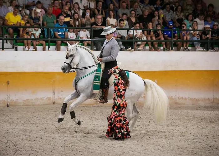 Residencial Colinas Del Bajondillo Appartamento *