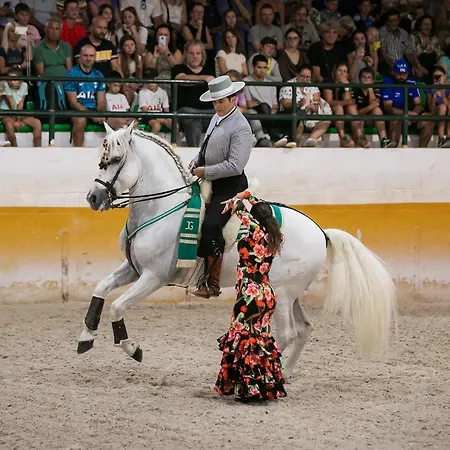 Residencial Colinas Del Bajondillo Appartement *